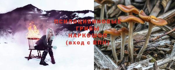 MDMA Беломорск